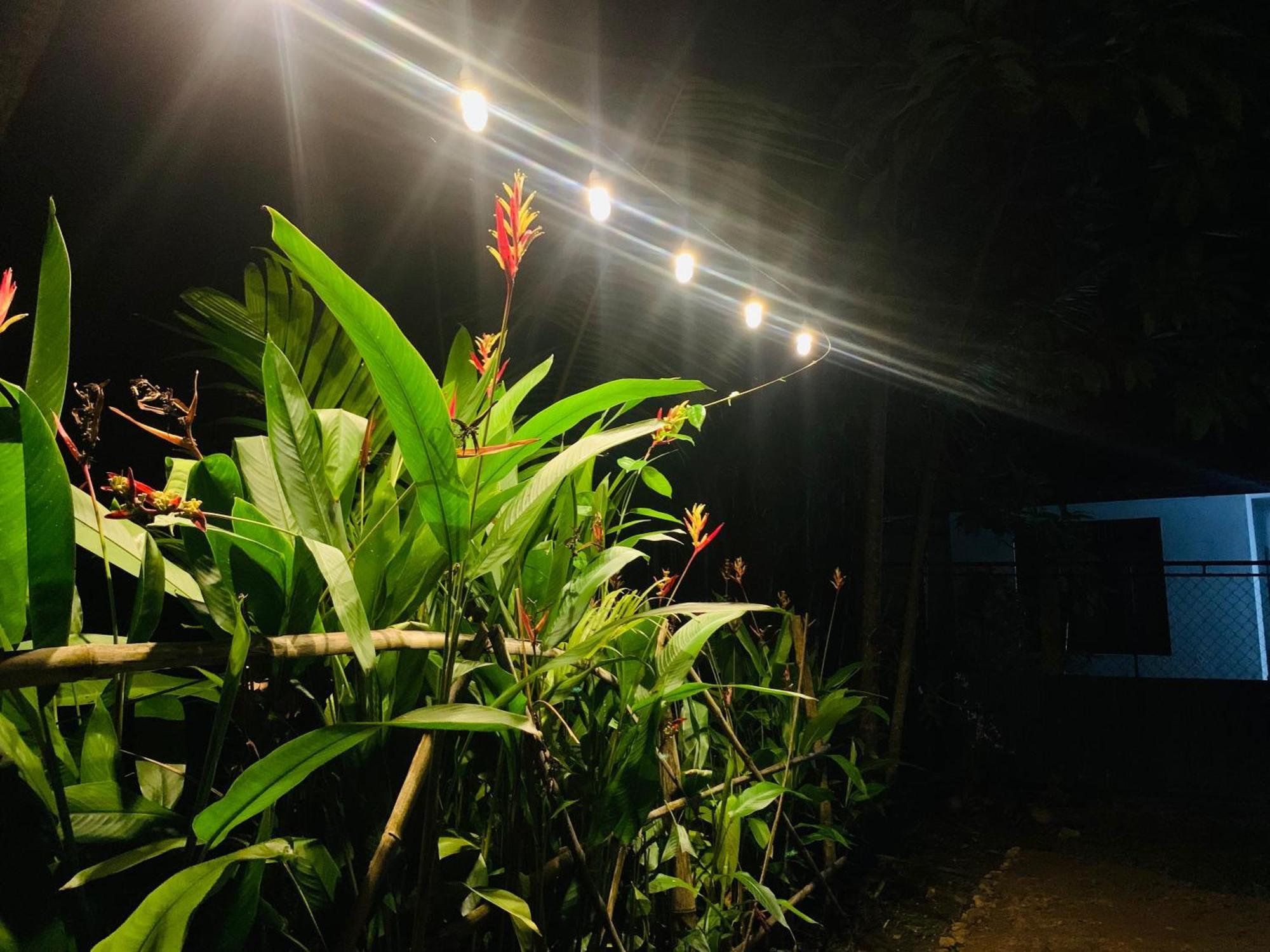 White Heaven Villa Unawatuna Exterior foto
